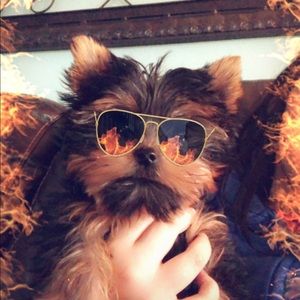 Meet your Posher, Melissa